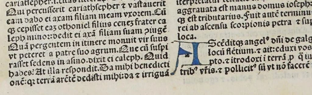 An illustration from Biblia Cum Tabula Nouiter Edita, leaf 144