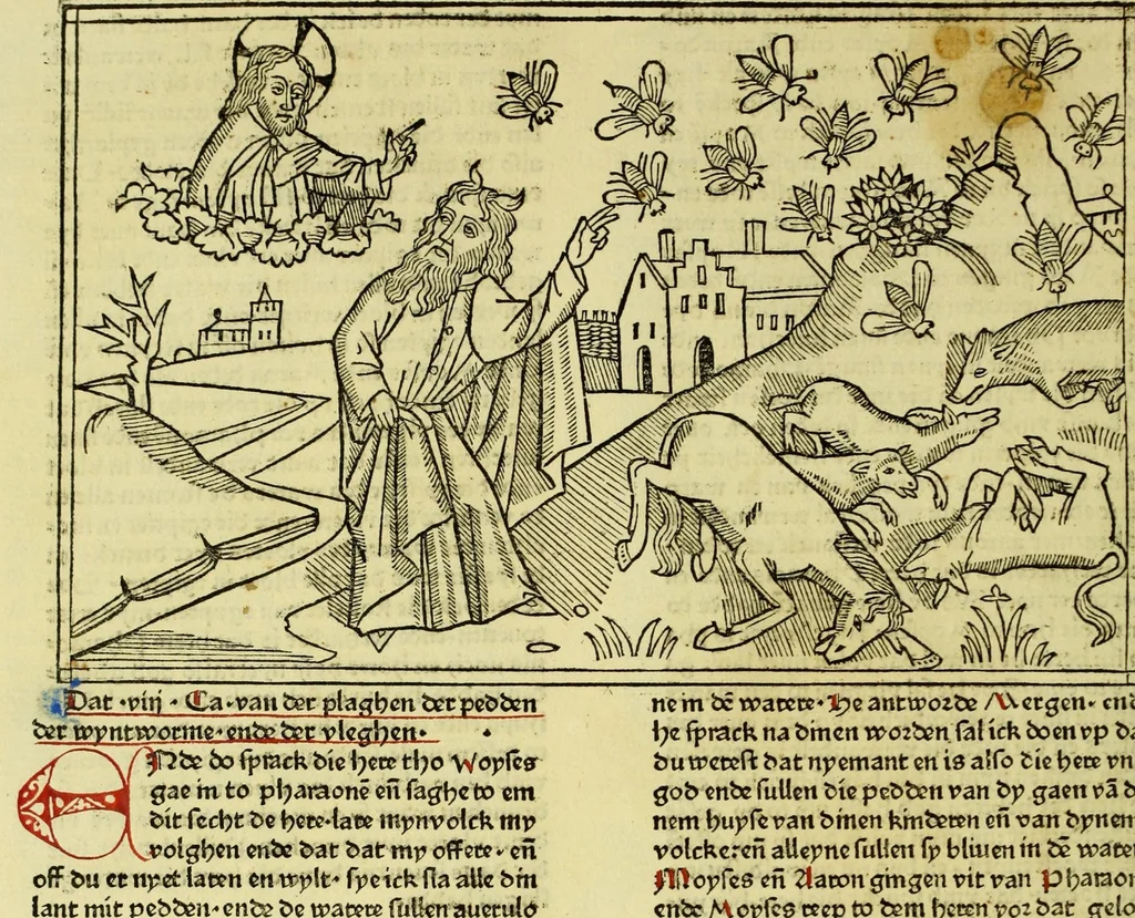An illustration from [Biblia Germanica], leaf 62