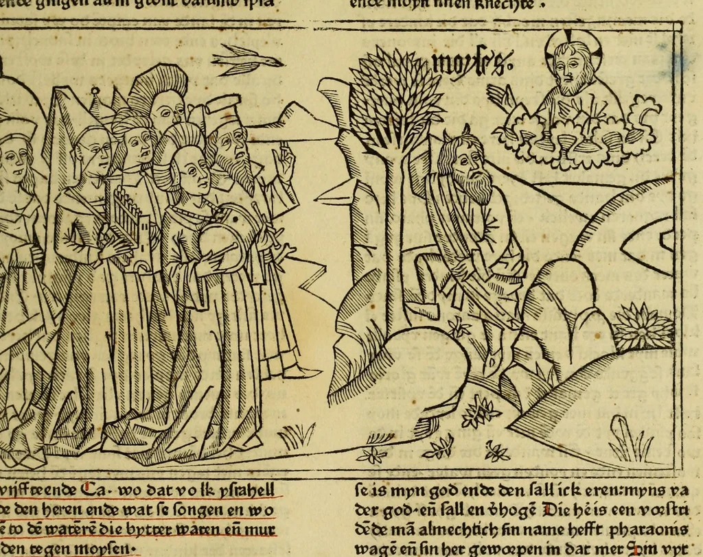An illustration from [Biblia Germanica], leaf 71