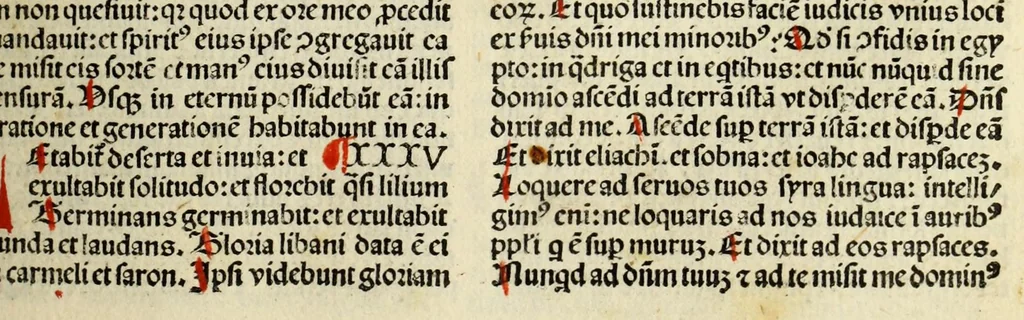 An illustration from [Biblia Latina], leaf 491