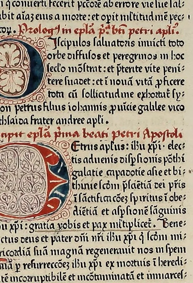 An illustration from [Biblia Latina], leaf 409