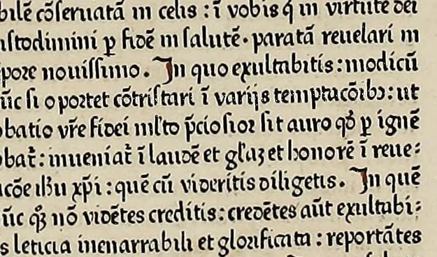 An illustration from [Biblia Latina], leaf 409