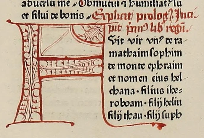 An illustration from [Biblia Latina], leaf 263