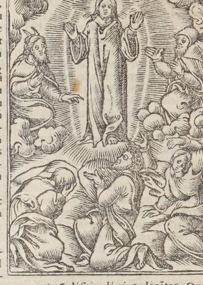 An illustration from Biblia pictvris illvstrata : breves in eadem annotationes, ex doctiss. interpretationibus, & Hebraeorum commentariis : interpretatio nominum Hebraicorum : index epistolarum & euangeliorum totius anni., 1540, leaf 1004