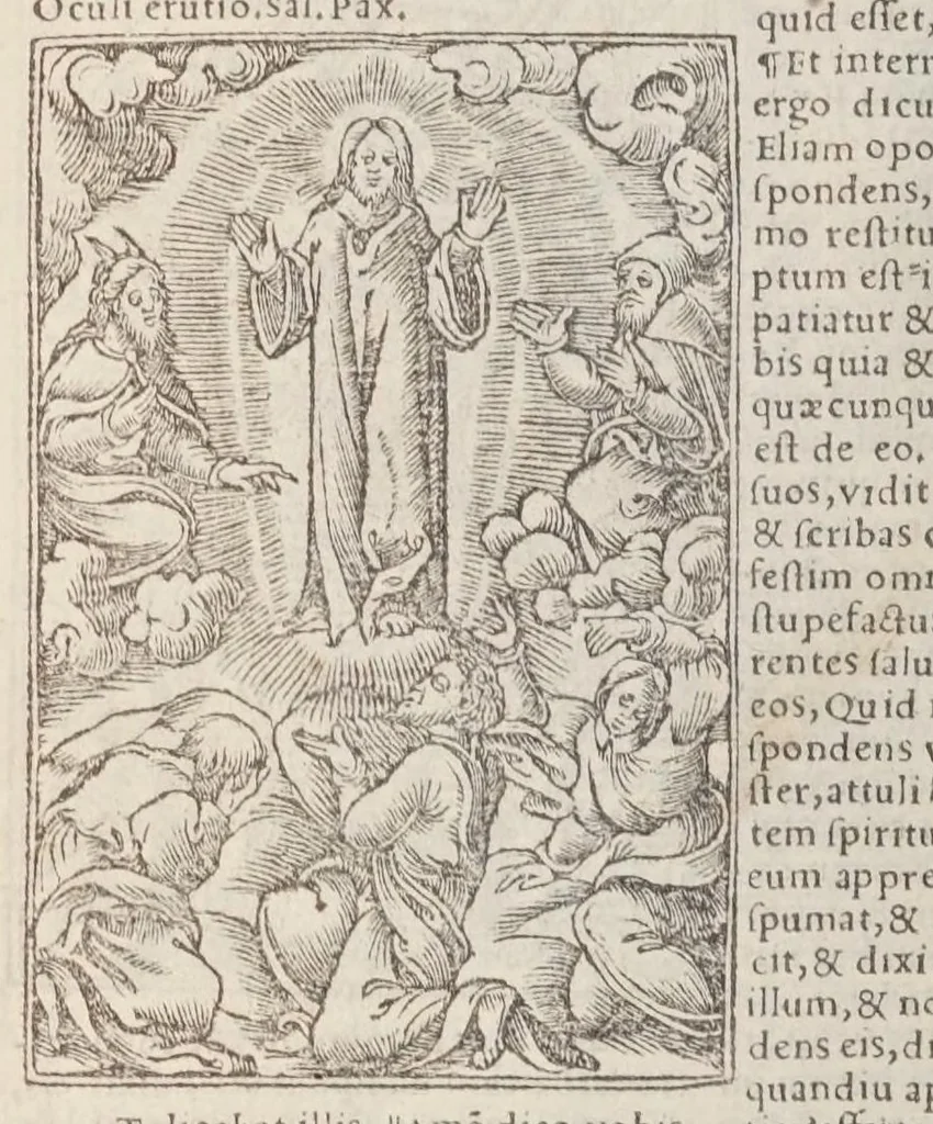 An illustration from Biblia pictvris illvstrata : breves in eadem annotationes, ex doctiss. interpretationibus, & Hebraeorum commentariis : interpretatio nominum Hebraicorum : index epistolarum & euangeliorum totius anni., 1540, leaf 1032