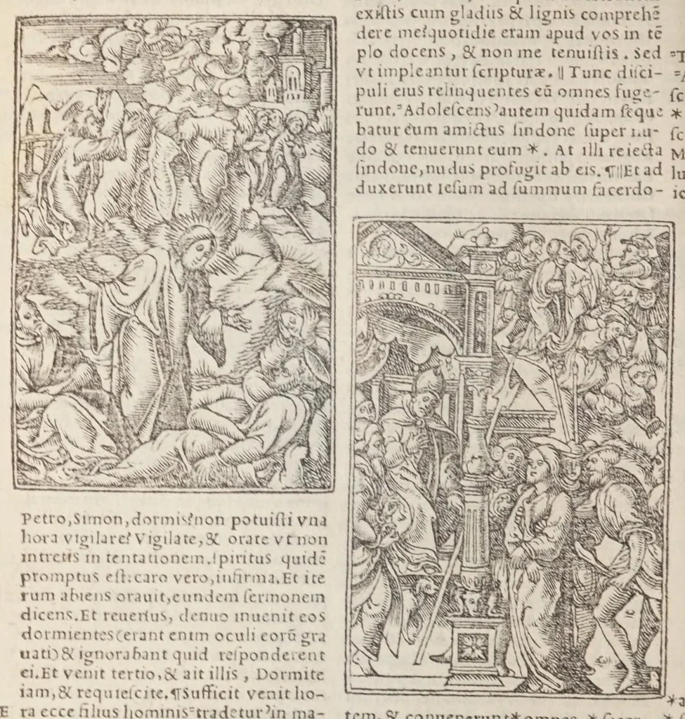 An illustration from Biblia pictvris illvstrata : breves in eadem annotationes, ex doctiss. interpretationibus, & Hebraeorum commentariis : interpretatio nominum Hebraicorum : index epistolarum & euangeliorum totius anni., 1540, leaf 1040