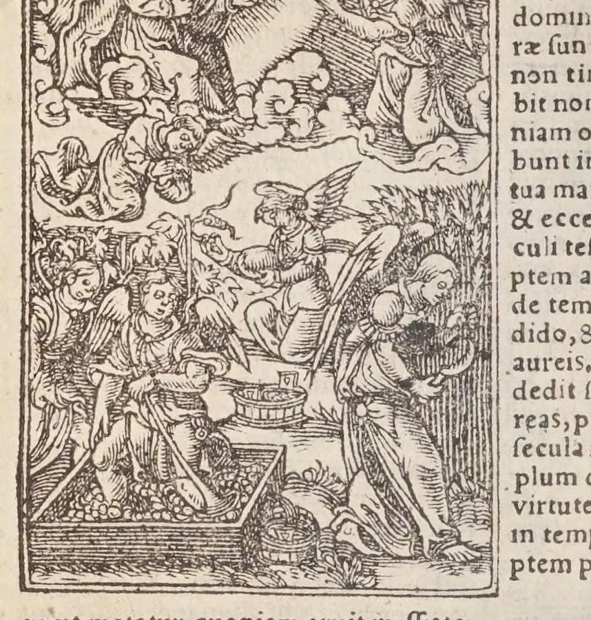 An illustration from Biblia pictvris illvstrata : breves in eadem annotationes, ex doctiss. interpretationibus, & Hebraeorum commentariis : interpretatio nominum Hebraicorum : index epistolarum & euangeliorum totius anni., 1540, leaf 1234