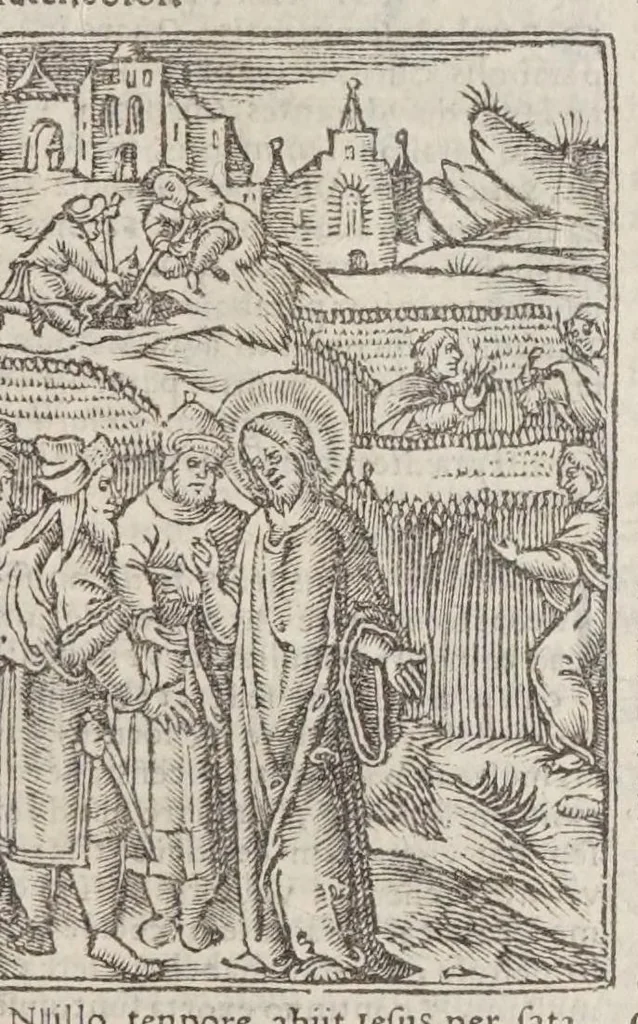 An illustration from Biblia pictvris illvstrata : breves in eadem annotationes, ex doctiss. interpretationibus, & Hebraeorum commentariis : interpretatio nominum Hebraicorum : index epistolarum & euangeliorum totius anni., 1540, leaf 997
