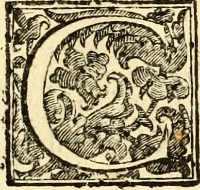 An illustration from Biblia Sacra Vulgatae Editionis : Sixti V, Pont. Max. ivssv recognita atque edita, 1669, leaf 7