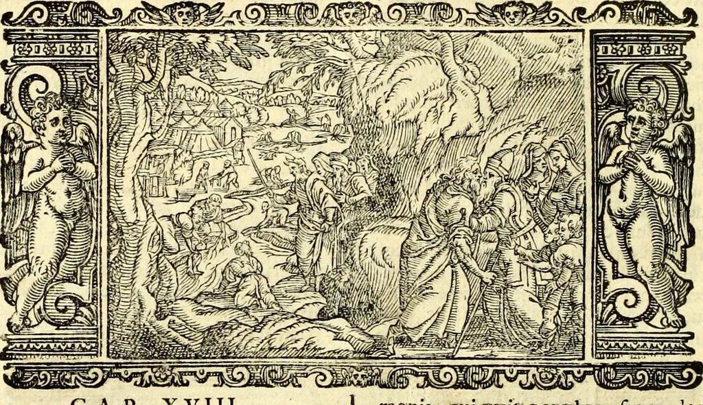 An illustration from Biblia Sacra Vulgatae Editionis : Sixti V, Pont. Max. ivssv recognita atque edita, 1669, leaf 79