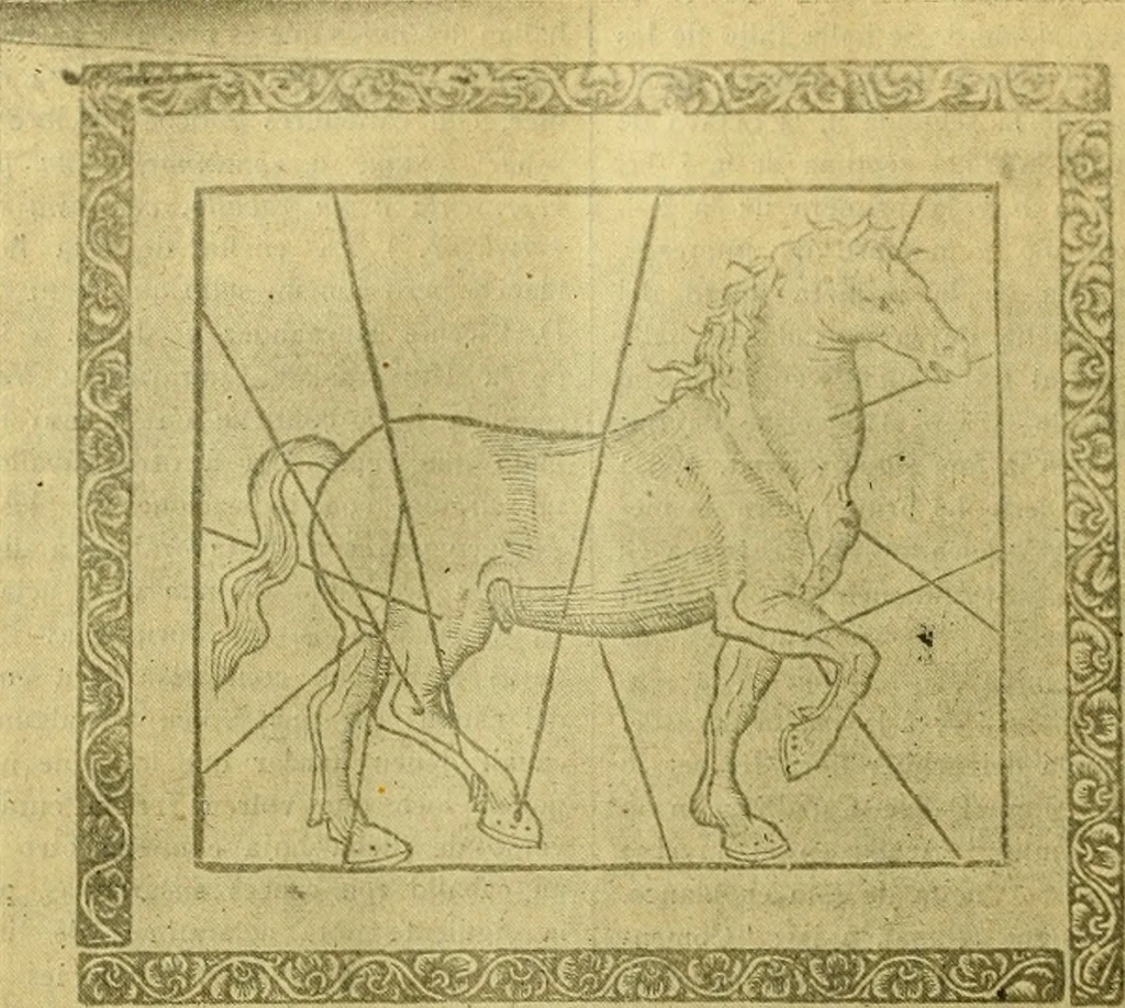 An illustration from Bibliografía de la lengua valenciana : o sea catálogo razonado por orden alfabético de autores de los libros, folletos, obras dramáticas, periódicos, coloquios, coplas, chistes, discursos, romances, alocuciones, cantares, gozes, etc., que escritos en lengua valenciana y bilingüe, han visto la luz pública desde el establecimiento de la imprenta en España hasta nuestros días, 1915, leaf 157