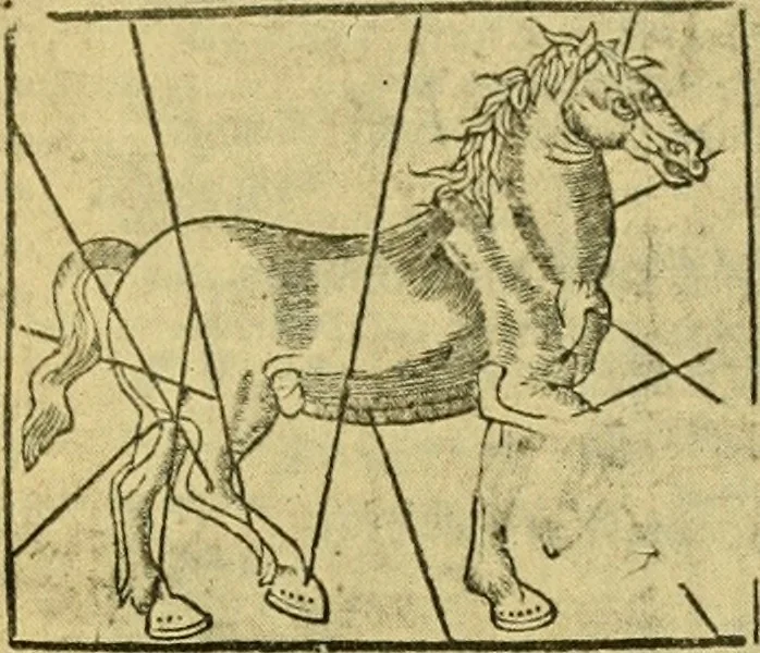 An illustration from Bibliografía de la lengua valenciana : o sea catálogo razonado por orden alfabético de autores de los libros, folletos, obras dramáticas, periódicos, coloquios, coplas, chistes, discursos, romances, alocuciones, cantares, gozes, etc., que escritos en lengua valenciana y bilingüe, han visto la luz pública desde el establecimiento de la imprenta en España hasta nuestros días, 1915, leaf 162