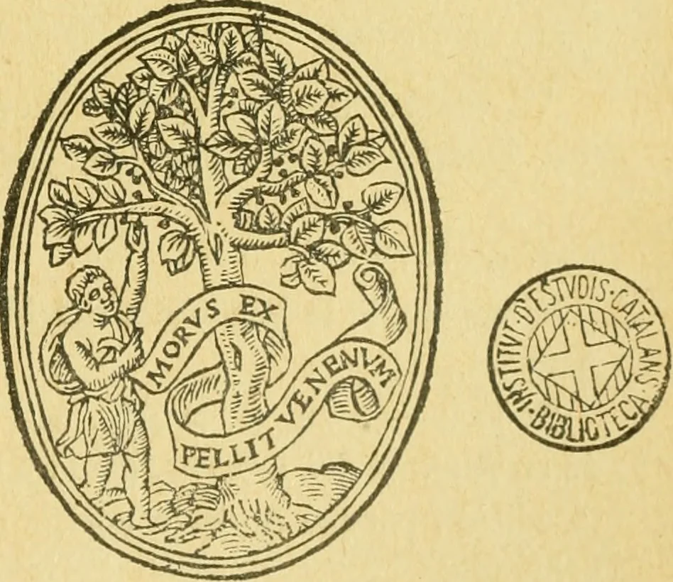 An illustration from Bibliografía de la lengua valenciana : o sea catálogo razonado por orden alfabético de autores de los libros, folletos, obras dramáticas, periódicos, coloquios, coplas, chistes, discursos, romances, alocuciones, cantares, gozes, etc., que escritos en lengua valenciana y bilingüe, han visto la luz pública desde el establecimiento de la imprenta en España hasta nuestros días, 1915, leaf 581