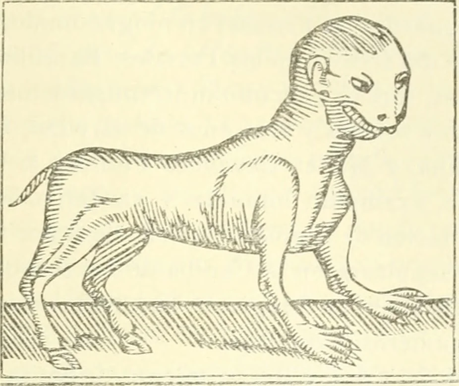 An illustration from Bibliografía mexicana del siglo XVIII, 1902, leaf 412