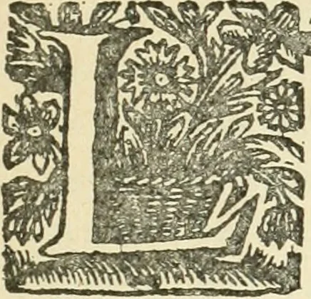 An illustration from Bibliografía mexicana del siglo XVIII, 1902, leaf 10