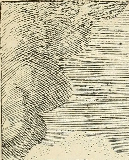 An illustration from Bibliografía mexicana del siglo XVIII, 1902, leaf 190
