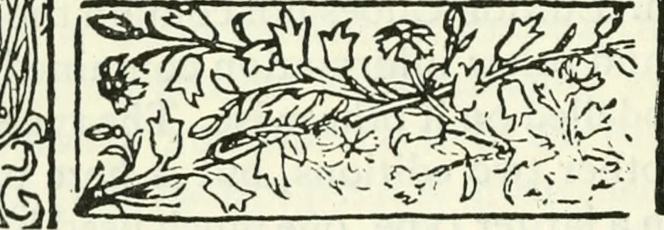 An illustration from Bibliographical essays, 1905, leaf 89
