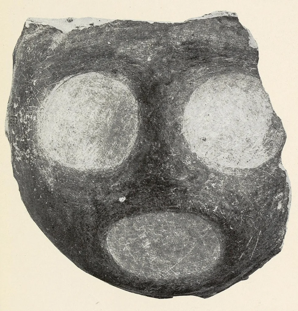 An illustration from Bibliographic notes on Uxmal, Yucatan, 1921, leaf 107