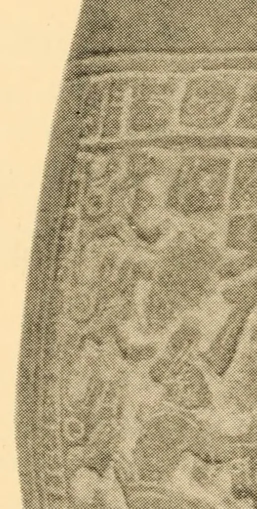 An illustration from Bibliographic notes on Palenque, Chiapas, 1928, leaf 42