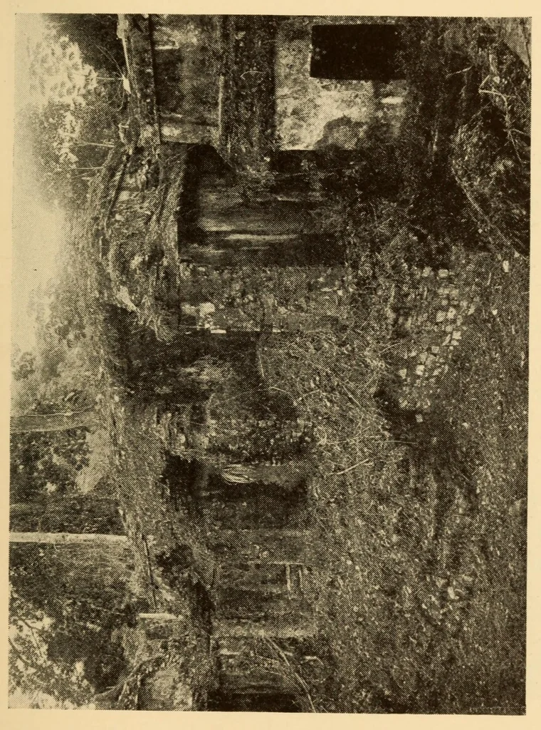 An illustration from Bibliographic notes on Palenque, Chiapas, 1928, leaf 49