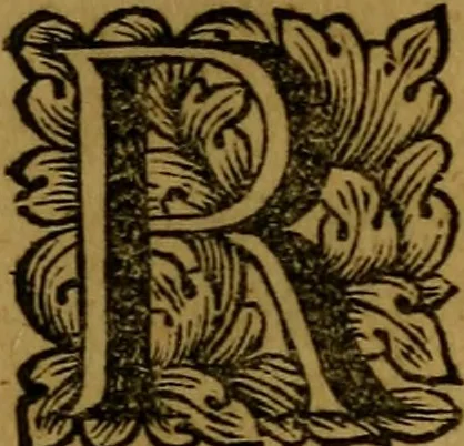 An illustration from Bibliotheca acroamatica, theologica, juridica, medica, philosophica, historica & philologica : comprehendens recensionem specialem omnium codicum msctorum ... Augustissimae Bibliothecae Caesareae Vindobonensis, olim a duumviris cl. Petro Lambecio et Daniele Nesselio congesta : nunc autem ... redacta ... à Jacobo Friderico Reimmanno ... nec non index triplex copiosissimus .., 1712, leaf 100