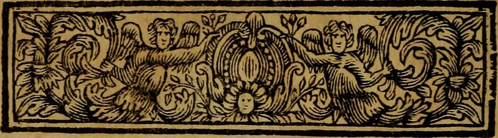 An illustration from Bibliotheca acroamatica, theologica, juridica, medica, philosophica, historica & philologica : comprehendens recensionem specialem omnium codicum msctorum ... Augustissimae Bibliothecae Caesareae Vindobonensis, olim a duumviris cl. Petro Lambecio et Daniele Nesselio congesta : nunc autem ... redacta ... à Jacobo Friderico Reimmanno ... nec non index triplex copiosissimus .., 1712, leaf 13