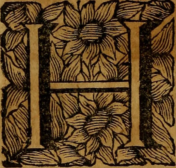 An illustration from Bibliotheca acroamatica, theologica, juridica, medica, philosophica, historica & philologica : comprehendens recensionem specialem omnium codicum msctorum ... Augustissimae Bibliothecae Caesareae Vindobonensis, olim a duumviris cl. Petro Lambecio et Daniele Nesselio congesta : nunc autem ... redacta ... à Jacobo Friderico Reimmanno ... nec non index triplex copiosissimus .., 1712, leaf 211