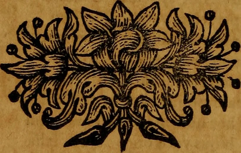 An illustration from Bibliotheca acroamatica, theologica, juridica, medica, philosophica, historica & philologica : comprehendens recensionem specialem omnium codicum msctorum ... Augustissimae Bibliothecae Caesareae Vindobonensis, olim a duumviris cl. Petro Lambecio et Daniele Nesselio congesta : nunc autem ... redacta ... à Jacobo Friderico Reimmanno ... nec non index triplex copiosissimus .., 1712, leaf 97
