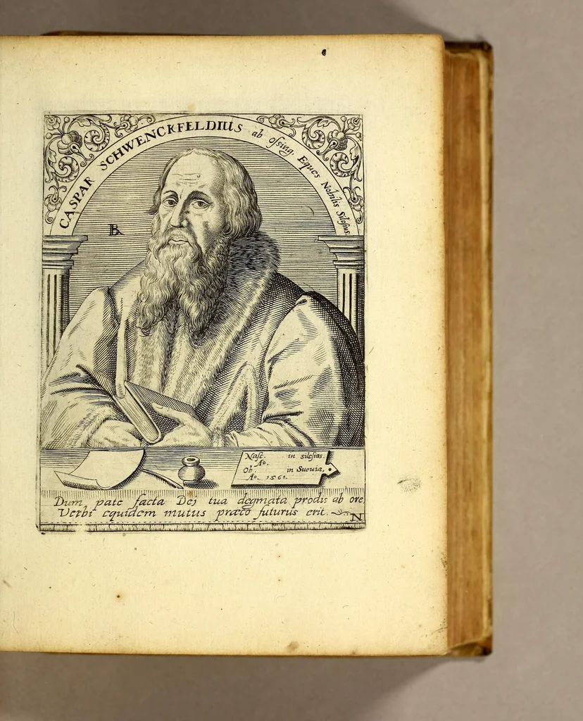 An illustration from Bibliotheca, chalcographica illustrium virtute atque eruditione in tota Europa, clarissimorum virorum theologorum, jurisconsultorum, medicorum, historicorum, geographorum, politicorum, philosophorum, poetarum, musicorum, aliorumque., 1650, leaf 109