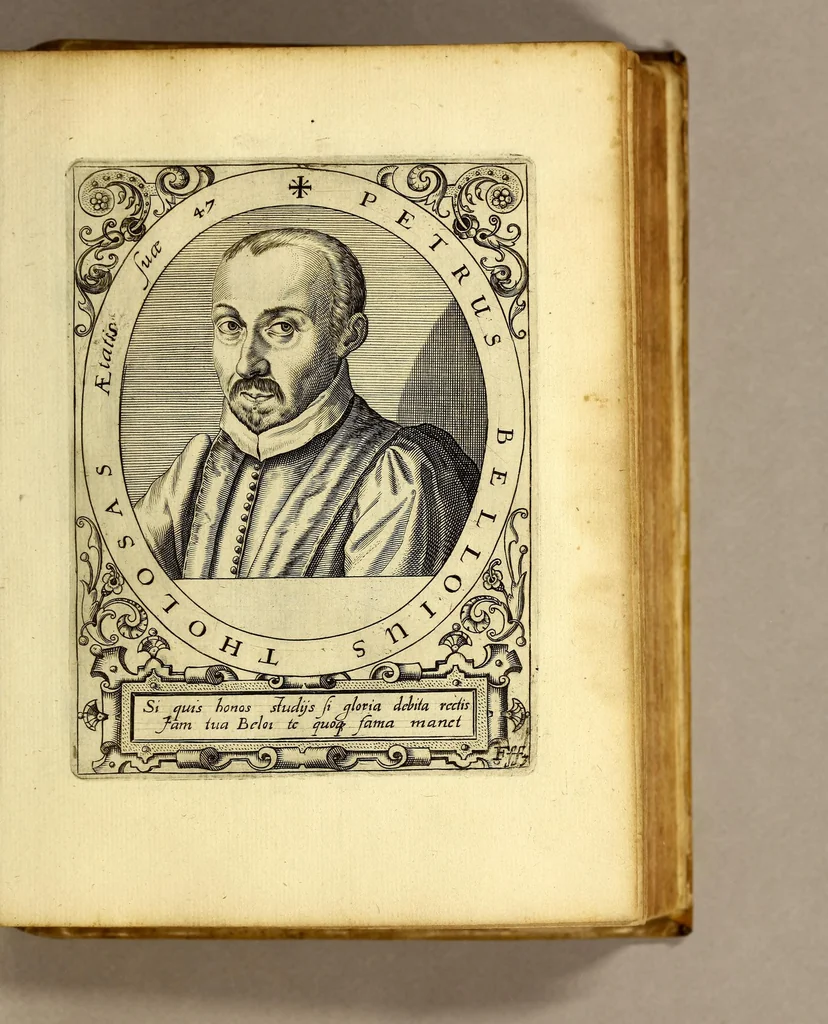 An illustration from Bibliotheca, chalcographica illustrium virtute atque eruditione in tota Europa, clarissimorum virorum theologorum, jurisconsultorum, medicorum, historicorum, geographorum, politicorum, philosophorum, poetarum, musicorum, aliorumque., 1650, leaf 425