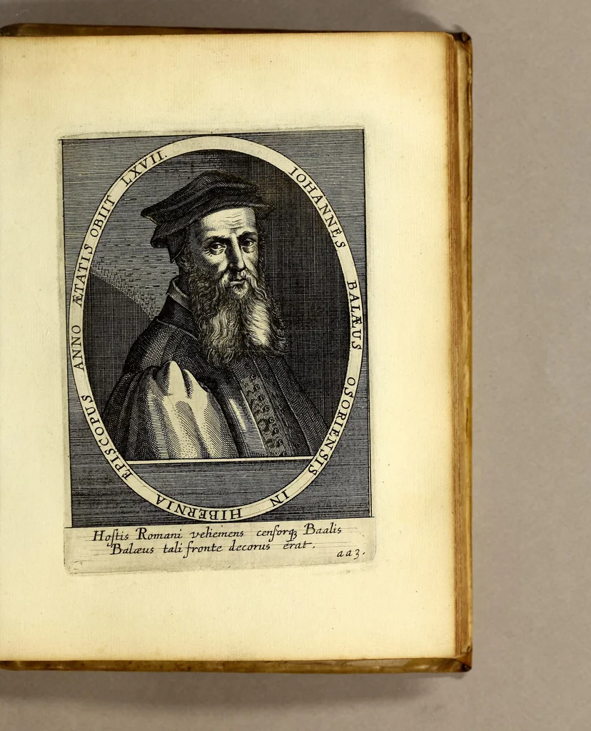 An illustration from Bibliotheca, chalcographica illustrium virtute atque eruditione in tota Europa, clarissimorum virorum theologorum, jurisconsultorum, medicorum, historicorum, geographorum, politicorum, philosophorum, poetarum, musicorum, aliorumque., 1650, leaf 613
