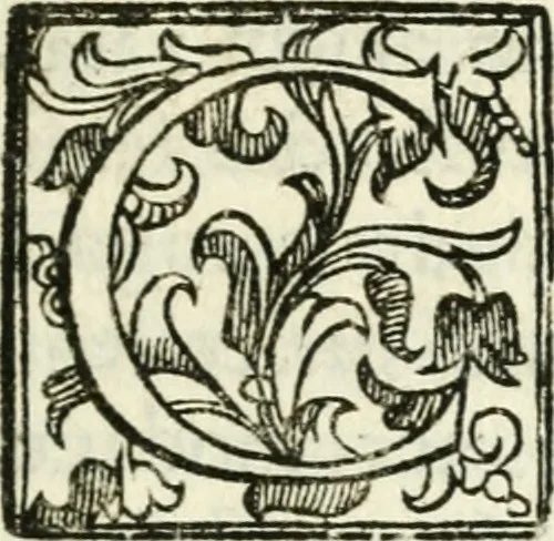 An illustration from Bibliothecae Alexandrinae icones symbolicae p. d. Christofori Giardae ... elogiis illustratae, 1626, leaf 10