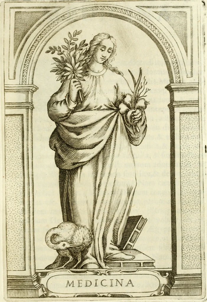 An illustration from Bibliothecae Alexandrinae icones symbolicae p. d. Christofori Giardae ... elogiis illustratae, 1626, leaf 100
