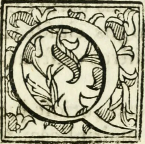 An illustration from Bibliothecae Alexandrinae icones symbolicae p. d. Christofori Giardae ... elogiis illustratae, 1626, leaf 112