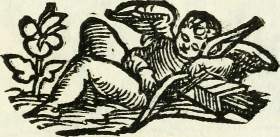 An illustration from Bibliothecae Alexandrinae icones symbolicae p. d. Christofori Giardae ... elogiis illustratae, 1626, leaf 136