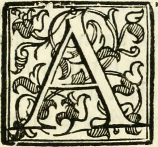 An illustration from Bibliothecae Alexandrinae icones symbolicae p. d. Christofori Giardae ... elogiis illustratae, 1626, leaf 140