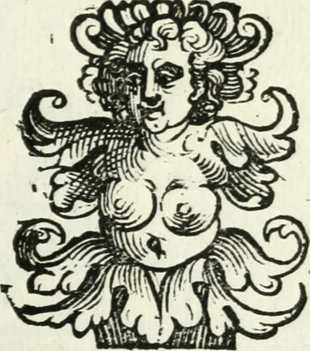 An illustration from Bibliothecae Alexandrinae icones symbolicae p. d. Christofori Giardae ... elogiis illustratae, 1626, leaf 148