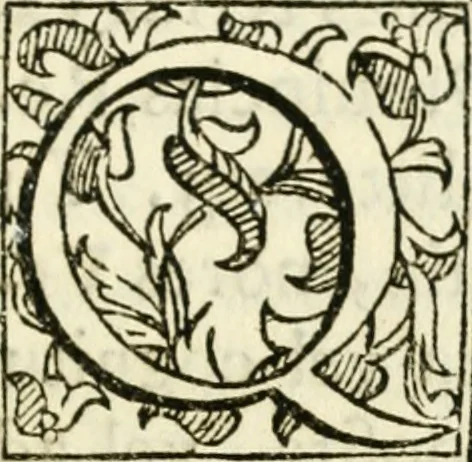 An illustration from Bibliothecae Alexandrinae icones symbolicae p. d. Christofori Giardae ... elogiis illustratae, 1626, leaf 164