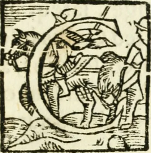An illustration from Bibliothecae Alexandrinae icones symbolicae p. d. Christofori Giardae ... elogiis illustratae, 1626, leaf 172