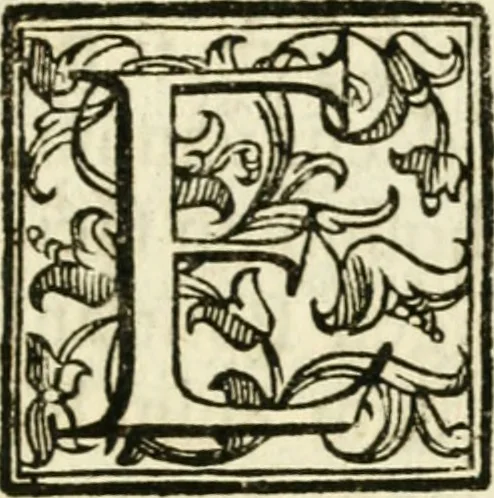 An illustration from Bibliothecae Alexandrinae icones symbolicae p. d. Christofori Giardae ... elogiis illustratae, 1626, leaf 208