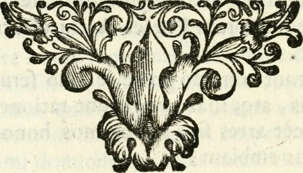 An illustration from Bibliothecae Alexandrinae icones symbolicae p. d. Christofori Giardae ... elogiis illustratae, 1626, leaf 21