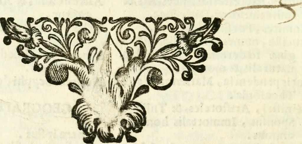 An illustration from Bibliothecae Alexandrinae icones symbolicae p. d. Christofori Giardae ... elogiis illustratae, 1626, leaf 217