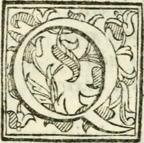 An illustration from Bibliothecae Alexandrinae icones symbolicae p. d. Christofori Giardae ... elogiis illustratae, 1626, leaf 26