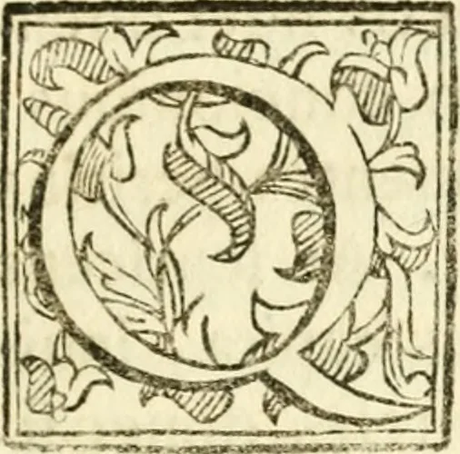 An illustration from Bibliothecae Alexandrinae icones symbolicae p. d. Christofori Giardae ... elogiis illustratae, 1626, leaf 40