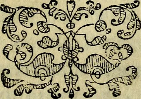 An illustration from Bibliothecae Alexandrinae icones symbolicae P.D. Christofori Giardae cler. reg. S. Pauli elogiis illustratae, 1628, leaf 10