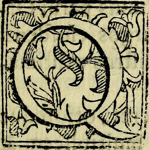An illustration from Bibliothecae Alexandrinae icones symbolicae P.D. Christofori Giardae cler. reg. S. Pauli elogiis illustratae, 1628, leaf 110