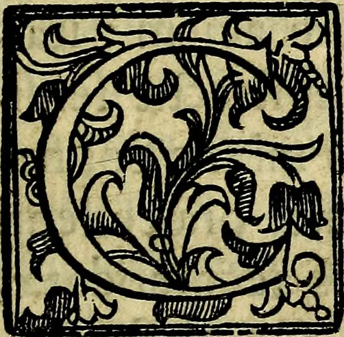 An illustration from Bibliothecae Alexandrinae icones symbolicae P.D. Christofori Giardae cler. reg. S. Pauli elogiis illustratae, 1628, leaf 12