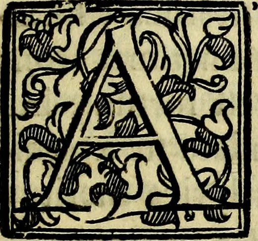 An illustration from Bibliothecae Alexandrinae icones symbolicae P.D. Christofori Giardae cler. reg. S. Pauli elogiis illustratae, 1628, leaf 134