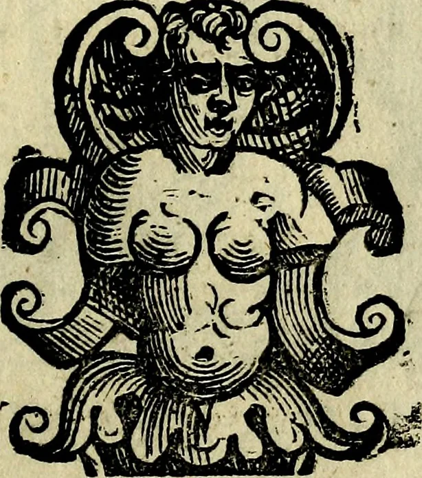 An illustration from Bibliothecae Alexandrinae icones symbolicae P.D. Christofori Giardae cler. reg. S. Pauli elogiis illustratae, 1628, leaf 154