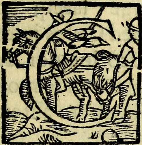 An illustration from Bibliothecae Alexandrinae icones symbolicae P.D. Christofori Giardae cler. reg. S. Pauli elogiis illustratae, 1628, leaf 166